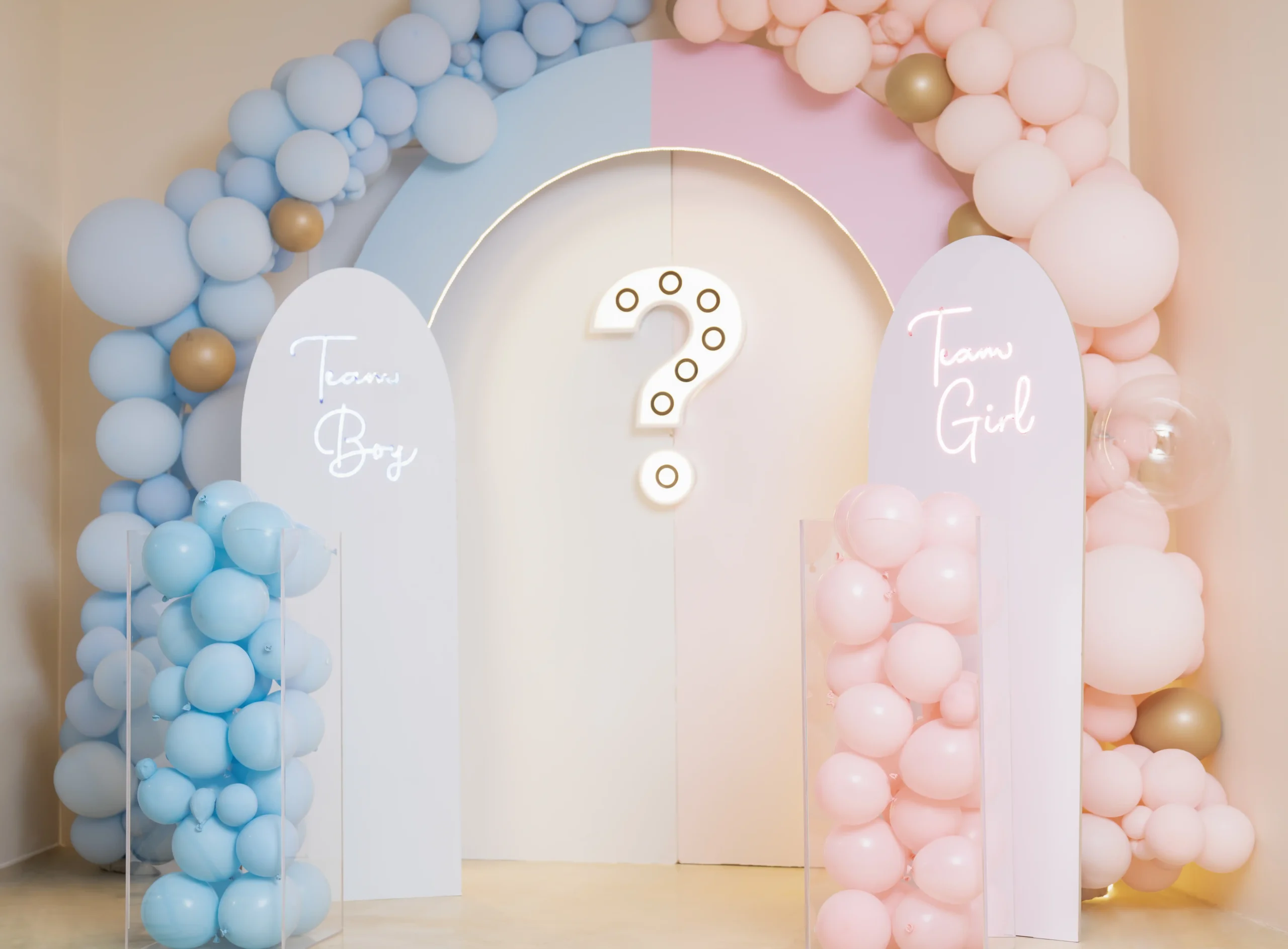 GENDER REVEAL BOOTH